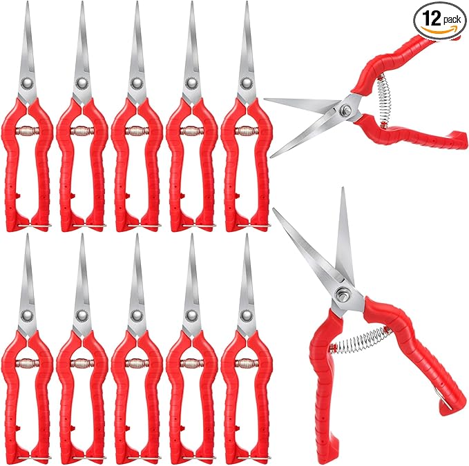 Lasnten 12 Pcs Pruning Shears Needle Nose Pruner Bulk Pruning Snips with Straight 8.3" Extra Long Edge Stainless Steel Sharp Blades Hand Garden Scissors Tool Trimming plants Fruit Trees Bonsai