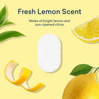 BLUELAND 100% Plastic-Free Dishwasher Detergent Tablets, 120 Count, Lemon Zest Scent, Eco Friendly Dishwashing Pods, Natural, Sustainable