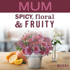 Mrs. MEYER'S CLEAN DAY Variety, 1 Multi-Surface Cleaner, 16 OZ, 1 Multi-Surface Cleaner, 16 OZ, 1 CT (Apple Cider + Mum)
