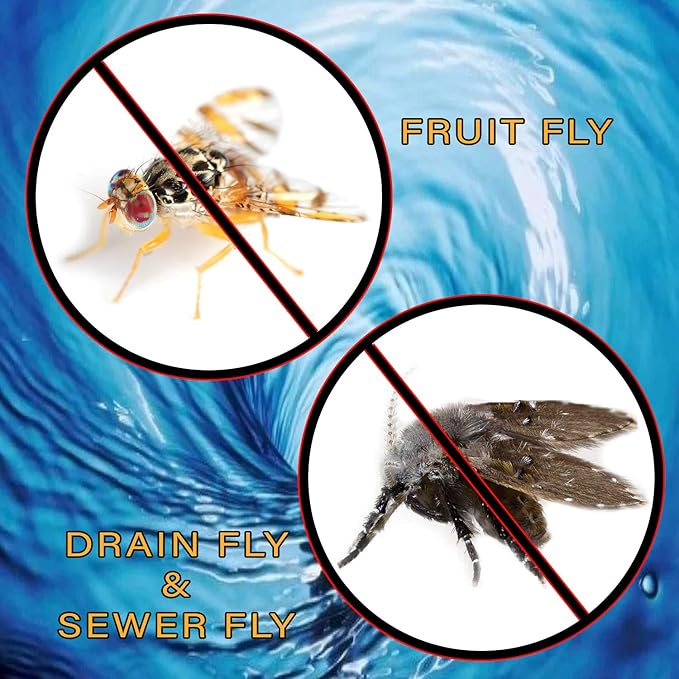 Fruit Fly & Drain Fly Killer - Simple Commercial Drain Gel Treatment - Eliminates Gross Fruit Flies, Drain Flies, Sewer Flies & Gnat Infestations from Any Drain Fast & Easy - 2.5 Gallon (320 Ounces)