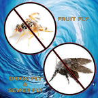 Fruit Fly & Drain Fly Killer - Simple Commercial Drain Gel Treatment – Eliminates Gross Fruit/Sewer Flies & Gnat Infestations from Any Drain. Fast & Easy - 1 Gallon (128 Ounces)