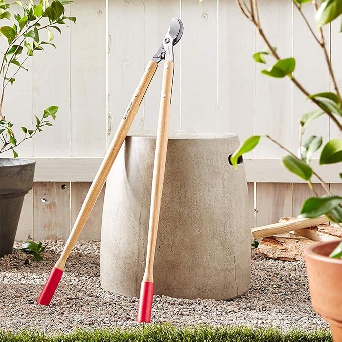 Corona WL 6470 ClassicCUT Bypass Lopper, 36-Inch