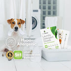 CleanScents Laundry Detergent Sheets (120 Sheets) (Pure Fresh)