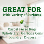 Biokleen Bac-Out Carpet Cleaner Spray, Stain Remover and Odor Eliminator, Use on Area Rugs, Upholstery & More, Removes Dirt, Pets, Wine & Food, Lime Scent, 32 oz, 2 Pack