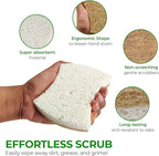Biodegradable Natural Dish Sponges - Coconut and Cellulose - Eco Friendly Non-Scratch Heavy Duty Dish Scrubber - Pack of 12
