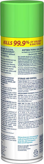 Sprayway All Purpose Disinfectant Cleaner, Foaming Action, 19 Ounce
