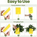 Qualirey 400 Pcs 6 x 8 Inch Sticky Traps for Gnats Dual Sided Fruit Fly Sticky Traps for Indoor and Outdoor Plant with Twist Ties and Plastic Holders for Flying Plant Insect, Fungus Gnats (Yellow)