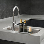 MOMEEMO Soap Dispenser Set Comes with Stainless Pumps, Instant Dry Tray, and Dish Scrub Brush, Suitable for Black and Gold Kitchen Decor. (Black & Gold)