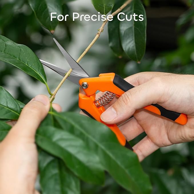 GROWNEER 1 Packs 6.5 Inch Pruning Shears Gardening Hand Pruning Snips Gardening Scissors with Straight Stainless Steel Precision Blades