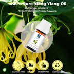 Ylang Ylang Essential Oil - Pure Organic Essential Oil for Skin & Hair Care, Massage, Diffuser, Spray, DIY Candles & Soap - 10mL