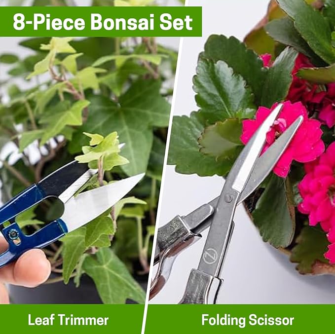 Bonsai Set 8 Pcs - Include Pruner,Fold Scissors,Mini Rake,Bud & Leaf Trimmer Set by ZELAR Made
