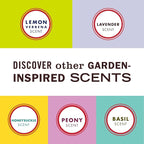 Mrs. MEYER'S CLEAN DAY All-Purpose Cleaner Spray, Compassion Flower, 16 fl. oz (Pack of 3)