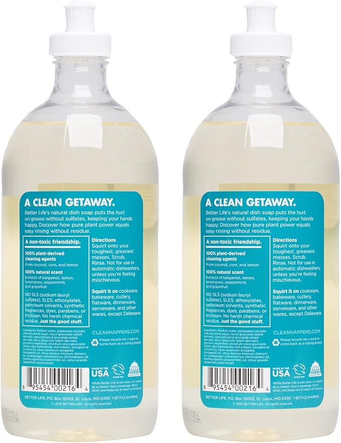 Better Life Dish Soap - Liquid Dishwashing Soap with Vitamin E and Aloe for Home & Kitchen Sink - No Gloves Required Kitchen Soap for Sensitive Skin - 22oz (Pack of 2) Lemon Mint