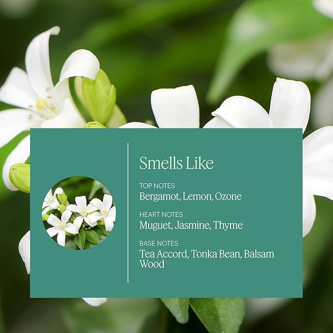 Aera Mini White Tea - Essential Oil for Home - Elegant Embrace Fragrance - Notes of White Tea, Jasmine and Thyme - Scent Refill - Capsule Size Works with Mini Diffuser