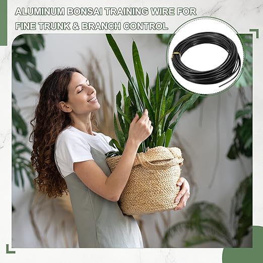 Bonsai Training Wire, 2mm x 32.8 ft Anodized Aluminum Floral Plant Training Wire Bendable Metal Stems Accessories for Gardening Branch Fixing Crafts (Black)