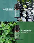 VTS Essential Oils Set (6 x 10ml) - Lavender, Peppermint, Eucalyptus, Tea Tree, Geranium, Rosemary, Aromatherapy Oils Gift Set for Home Diffusers, Skin & Hair Care, Soap & Candle Making, Humidifiers