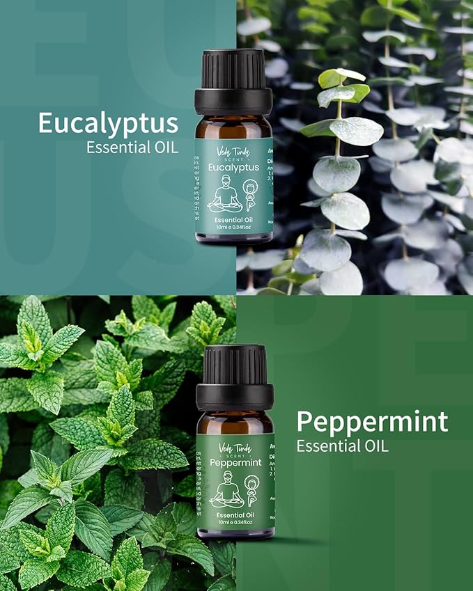 VTS Essential Oils Set (6 x 10ml) - Lavender, Peppermint, Eucalyptus, Tea Tree, Geranium, Rosemary, Aromatherapy Oils Gift Set for Home Diffusers, Skin & Hair Care, Soap & Candle Making, Humidifiers