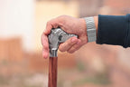 Deluxe Walking Sticks | Rosewood Crafted Cane with Solid Brass Chrome Decorative Bars | Nagina International