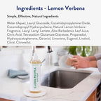 THE CLEAN PEOPLE Liquid Dish Soap - Clean, Simple Ingredients - Extra Scrubbing Power (Lemon Verbena Scent) 12 fl. oz (6 Pack)