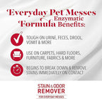 Nature's Miracle Stain and Odor Remover for Dogs, Odor Control Formula, Refill, 1.33 Gal