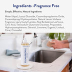 THE CLEAN PEOPLE Liquid Dish Soap - Clean, Simple Ingredients - Extra Scrubbing Power (Fragrance Free) 12 fl. oz (3 Pack)