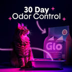 Boxie Glo Clumping Clay 30 Day Odor Control Cat Litter, 99.9% Dust-Free, Low Tracking, UV Light Attractant, 28 lb