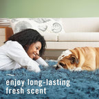 Febreze Fabric Spray Air Freshener, Odor-Fighting Fabric Refresher, Sneaker Balls Alternative, Couch Cleaner, Linen Spray, Multi-Use, Pet Odor Fighter Scent, 23.6 fl oz (Pack of 2)