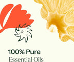 Plant Therapy Citrus Burst Blend All Natural Multi-Surface Cleaner Concentrate, Use to Clean Countertops, Stovetops, Tile, Microwave, 30 mL (2-Pack)
