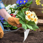 DOITOOL Iron Triangle Garden Hoe 12.4 Inch Weeding Hoe Stainless Steel Blade Manual Weeder Garden Tool for Weeding Gardening Loosening Edging Cultivating Farm