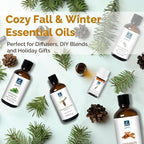 Cedarwood Essential Oil 1 Oz, 100% Pure Natural Cedarwood Oil, Aromatherapy Essential Oils for Diffuser, Skin, Hair, Candle, DIY Body Care