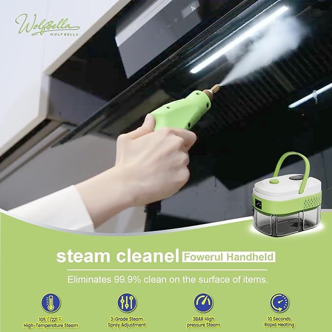 Steam Cleaner,15s Heat-Up,1.4L Tank,Steamer for Cleaning with 10 pcs Accessories,Multi-2500W High Temperature and Pressure handheld steamer,Steam Clea (1-Green)