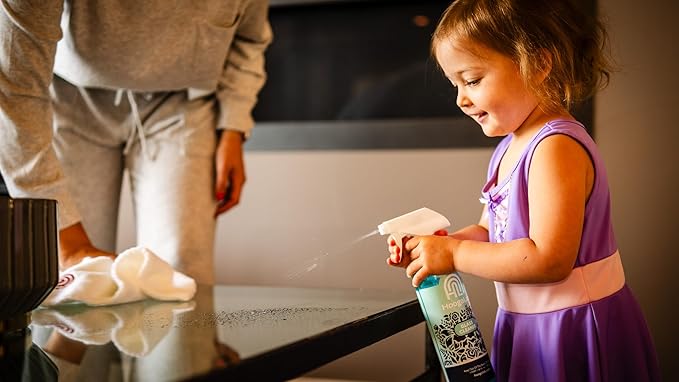 16oz Glass Cleaner - No Streak, All Shine! Achieve a Crystal Clear Shine on All of Your Glass Surfaces | Elimate Fingerprints, Smudges, Water Spots, and More! (2 pack)