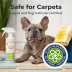 Oxyfresh Strong Carpet Stain Remover & Cleaner Spray – Advanced Pet Urine Odor Eliminator for Entire Home - Fast Acting Dog & Cat Urine Neutralizer