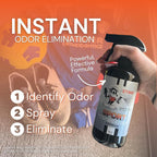 The Stink Solution Unscented, Sport, & Hockey Odor Eliminator Spray | Sports & Hockey Gear Deodorizer for Gloves, Cleats, Equipment, Shoes 3 4 oz Bottles in Unscented, Driftwood, & Coconut Lime Scents