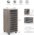 WOPITUES Plastic Storage Drawer Cart, Makeup Organizer and Storage with 10 Large Clear Drawers, Utility Wooden Rolling Cart on Wheels, for Cosmetic, Art Craft, Parts, Office Supplies, Toy, Grey