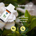 Gardenia Essential Oil - Natural Perfume for Aromatherapy, Perfume Making, Candles, Soap, Room Spray, Diffuser Blends - Pure Fragrance, 10mL Undiluted - Pack of 2
