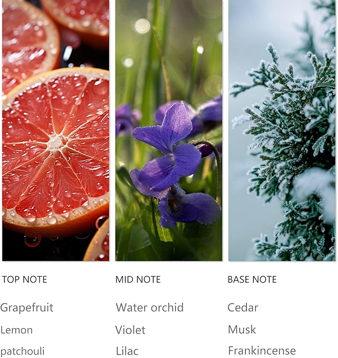 Hotel Waterless Diffuser Oil Clove Cedar, Essential Scent Oil Usage Cold Air Waterless Diffuser, Luxury Scents Oils Fragrance Bottle120 ML Home Natural Flavour