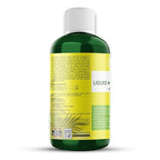 Organic Premium Kelp Seaweed Fertilizer for Peace Llily - Liquid Plant Food - Nutrient-Rich Soil Enhancer - Natural Plant Food for Spathiphyllum (8 OZ)