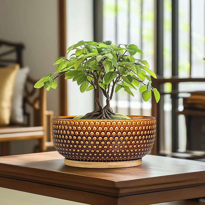 Bonsai Pots - 8 Inch Succulent Bowl for Indoor Plant, Shallow Round Ceramic Planters with Drainage Hole and Saucer, Boho Home Room Office Apartment Decor, Plant Lovers Gifts, Brown