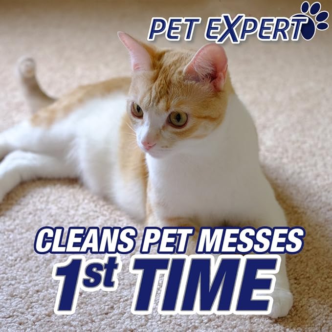 Resolve Pet Carpet Spot & Stain Remover Spray Refill, 60oz, Cleans pet Messes (SYNCHKG097508) (Pack of 2)