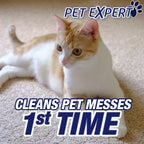 Resolve Pet Carpet Spot & Stain Remover Spray Refill, 60oz, Cleans pet Messes (SYNCHKG097508) (Pack of 2)