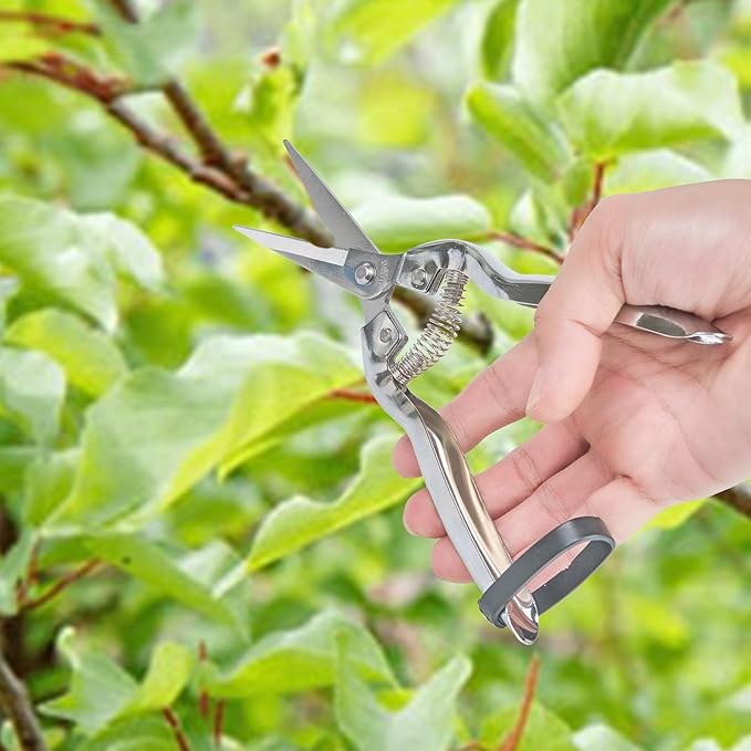 Pruning Shears Set of 3 – SK5 Steel Hand Pruners & Garden Clippers with Non-Slip Handle, Bonsai Shears for Fruit Trees, Flowers & Small Plants