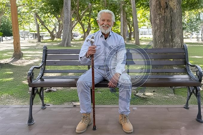 Deluxe Walking Sticks | Rosewood Crafted Cane with Solid Brass Chrome Decorative Bars | Nagina International