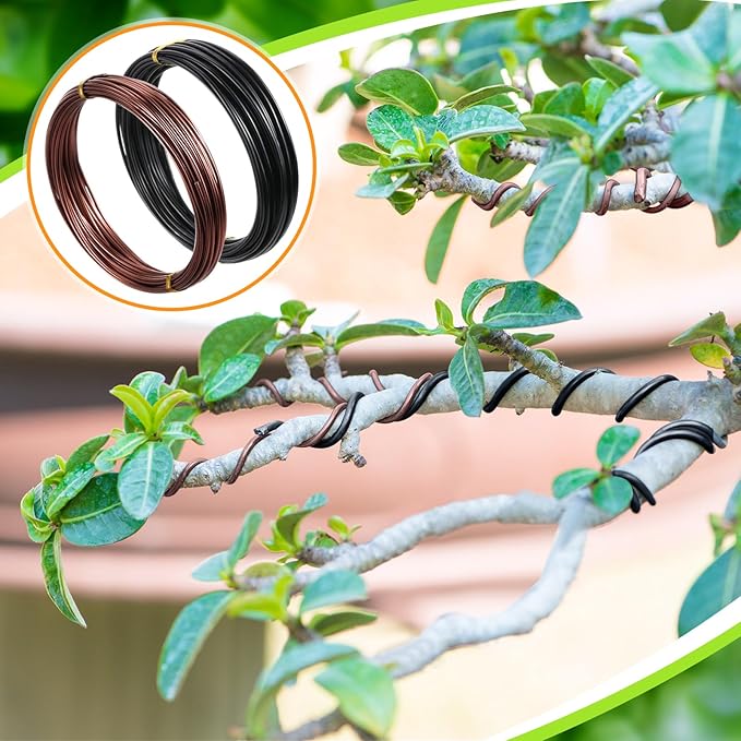 5 Roll Aluminum Bonsai Training Wire & Cutter Set - 160 Feet Total with Adjustable Anodized Wire 1/1.5/2.0 mm for Fine Trunk & Branch Control