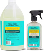 Aunt Fannie's All Purpose Household Cleaner Bundle, Multi-surface Spray and Refill, Powered by Vinegar for Kitchen, Bath, Windows and Countertops, Eucalpytus Scent