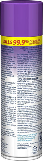 Sprayway All Purpose Cleaner with Lavender Scent, 19oz, Pack of 6 | Foaming Action, Clean, Disinfect, Deodorize | Tough on Grease, Soap Scum, Grime | EPA Approved, Kills 99.9% of Viruses & Bacteria