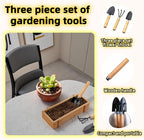 3-Piece Mini Garden Tool Set, Indoor Plant Care Kit with Wood Handle, Black Iron Tools for Potting, Transplanting and Cultivating, Compact Succulent and Houseplant Tools,Small Shovel, Trowel, Rake