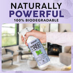 Mint+ Insect and Pest Control Spray, Residue-Free Bug Killer for Indoor & Outdoor Use, 16 oz (475mL)