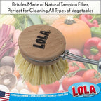 Lola Products Replacement Head for The Original Tampico Vegetable & Dish Brush, 1.75" Head, Birchwood & Poly Bristles, Reusable & Washable, 1 Pack