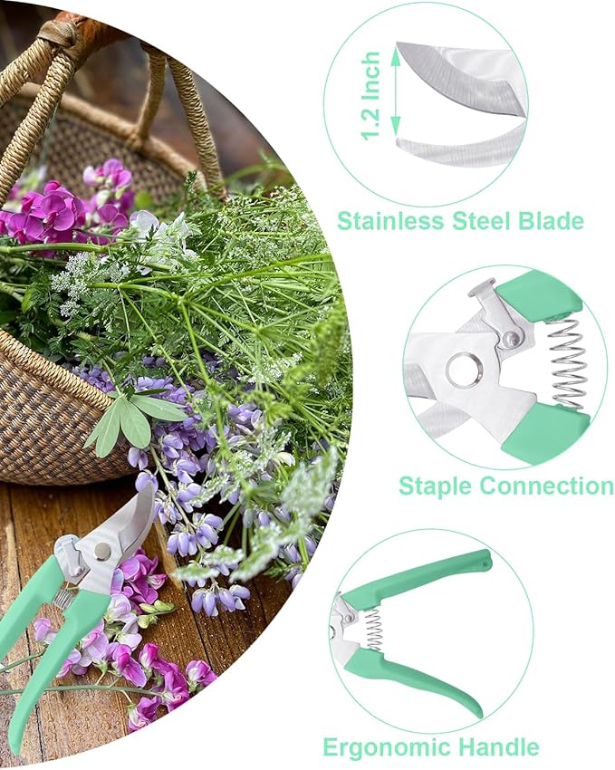 Pruning Shears for Gardening, 4 Pack Garden Scissors for Cutting Fresh Flowers, Floral Clippers for Plants, Fruits (Green)